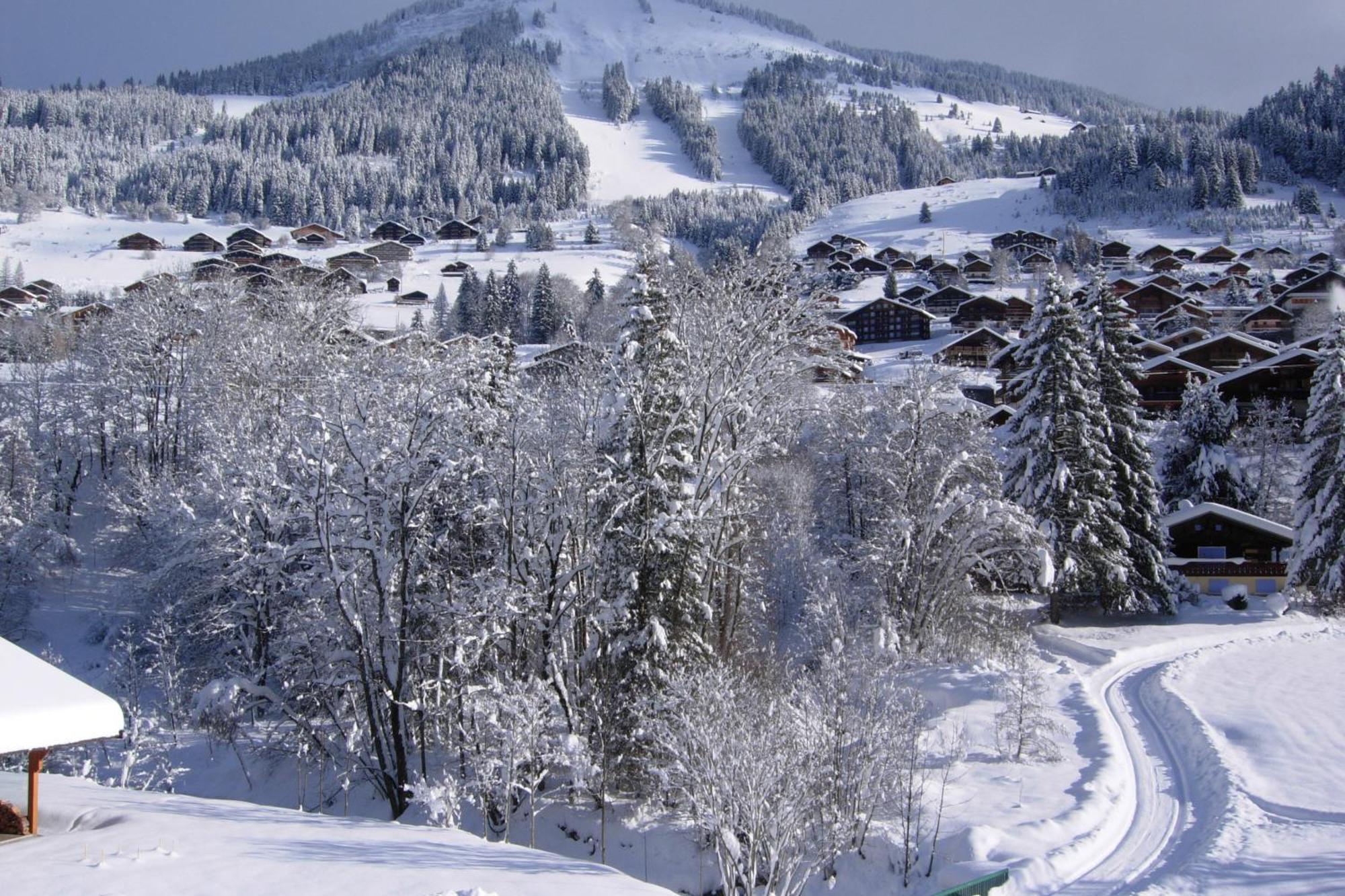 Au Bois De Lune Chatel Exterior photo