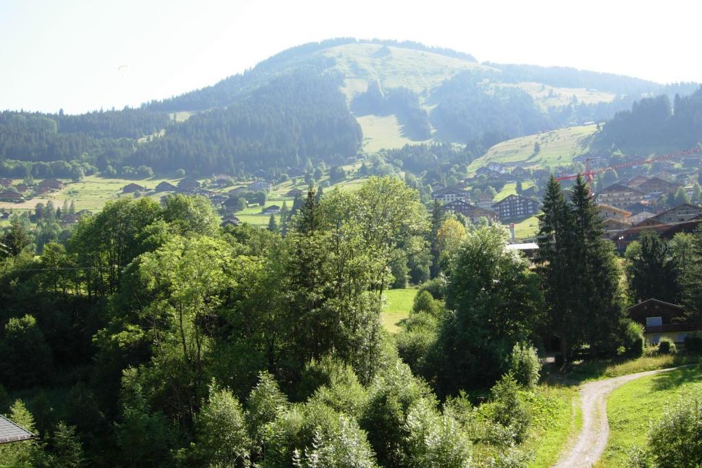 Au Bois De Lune Chatel Exterior photo